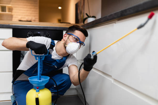 Best Best Pest Control Companies  in Morrisonvle, IL