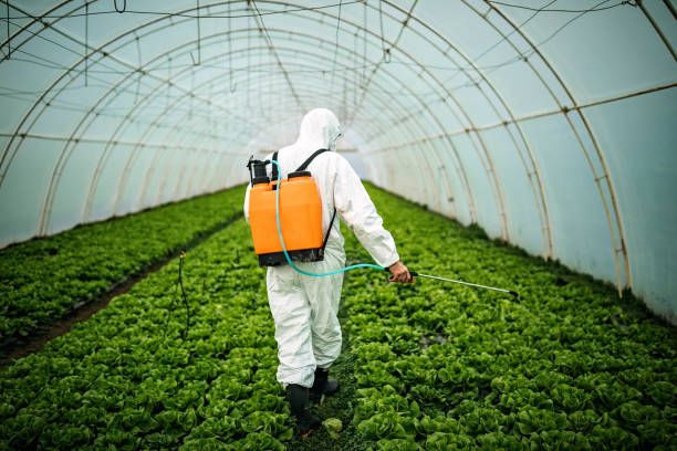 Best Affordable Pest Control Services  in Morrisonvle, IL