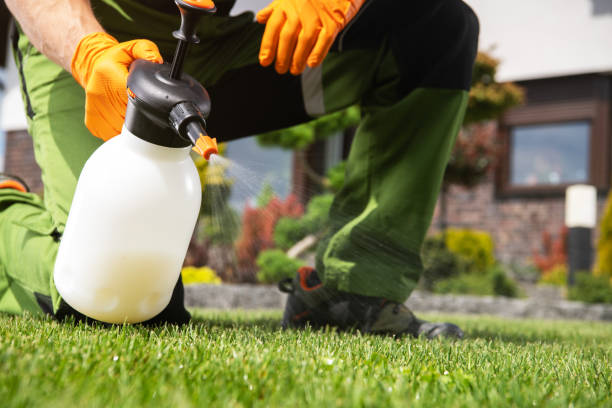 Flea Control Services in Morrisonville, IL