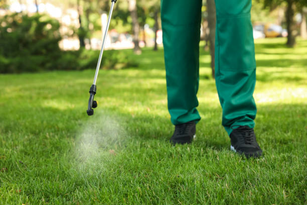 Wildlife Control Services in Morrisonville, IL