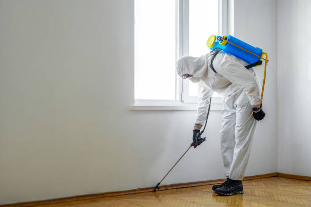 Reliable Morrisonville, IL Pest Control Solutions
