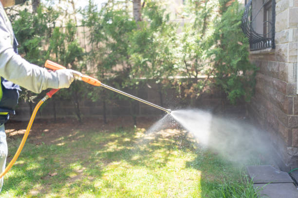 Best Emergency Pest Control  in Morrisonvle, IL