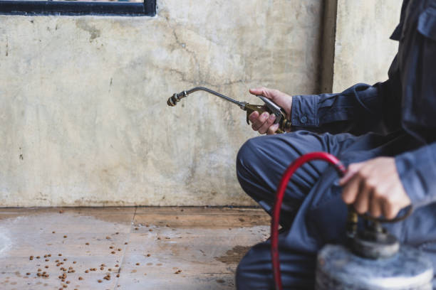 Best Best Pest Control Near Me  in Morrisonvle, IL