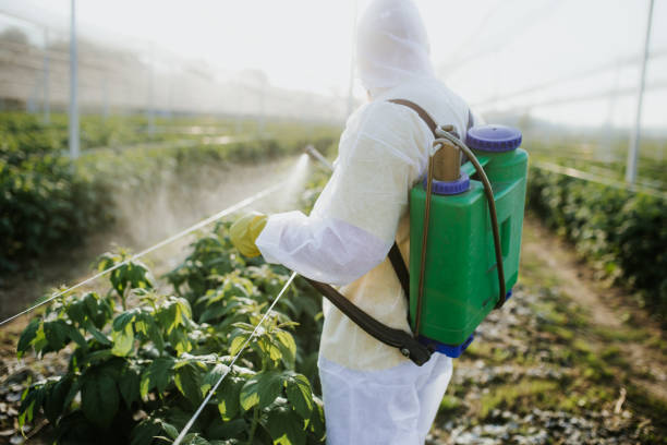 Best Flea Control Services  in Morrisonvle, IL